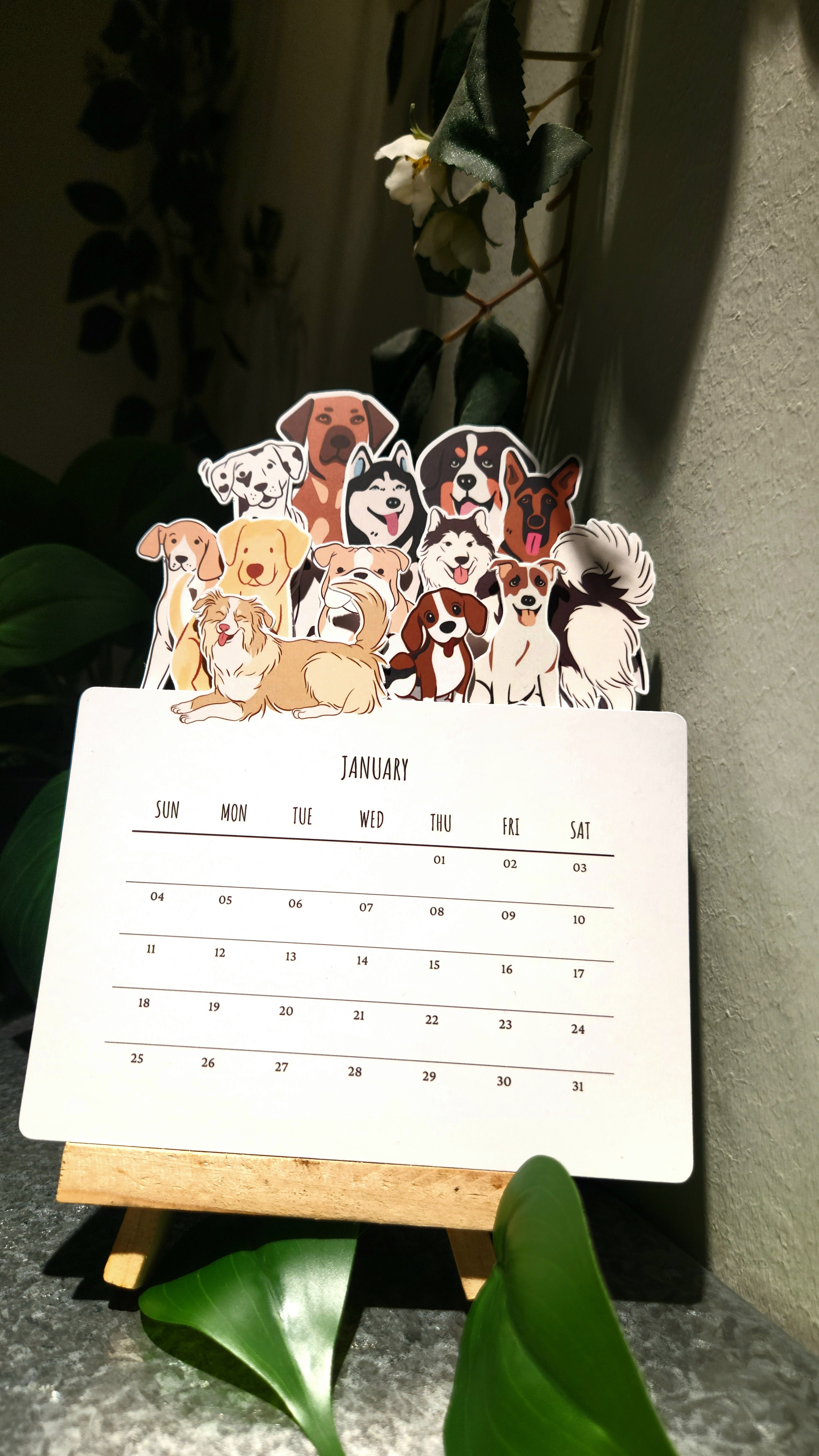 Soft Hearts Bundle 🐾