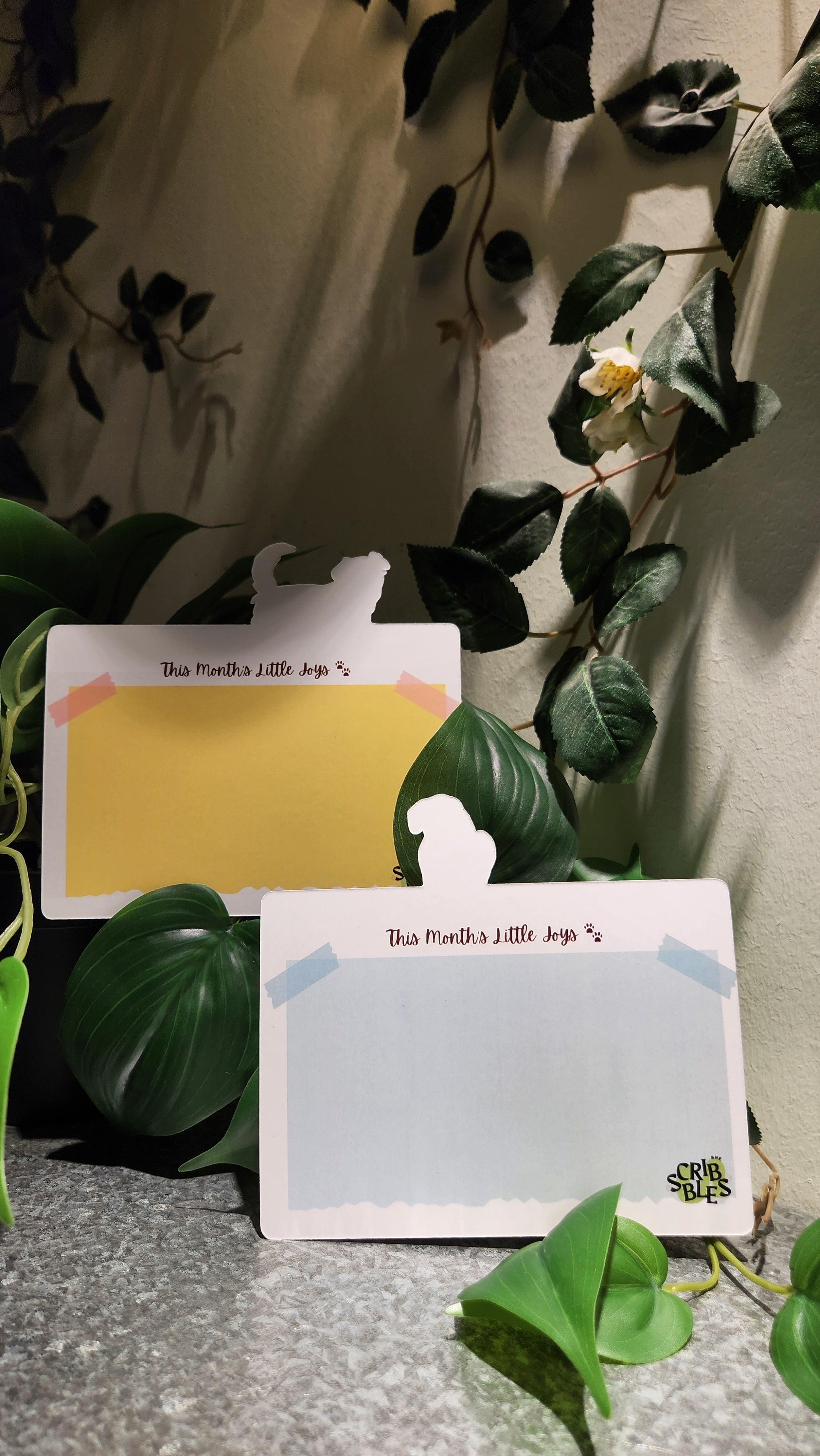 Soft Hearts Bundle 🐾