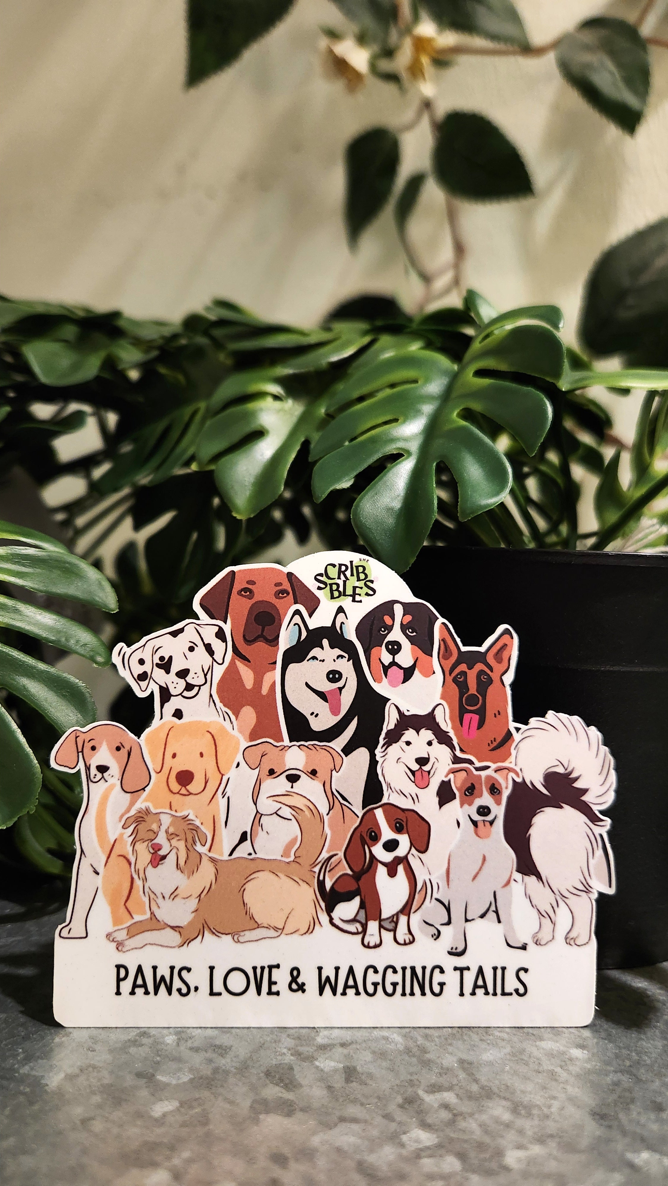 Soft Hearts Bundle 🐾