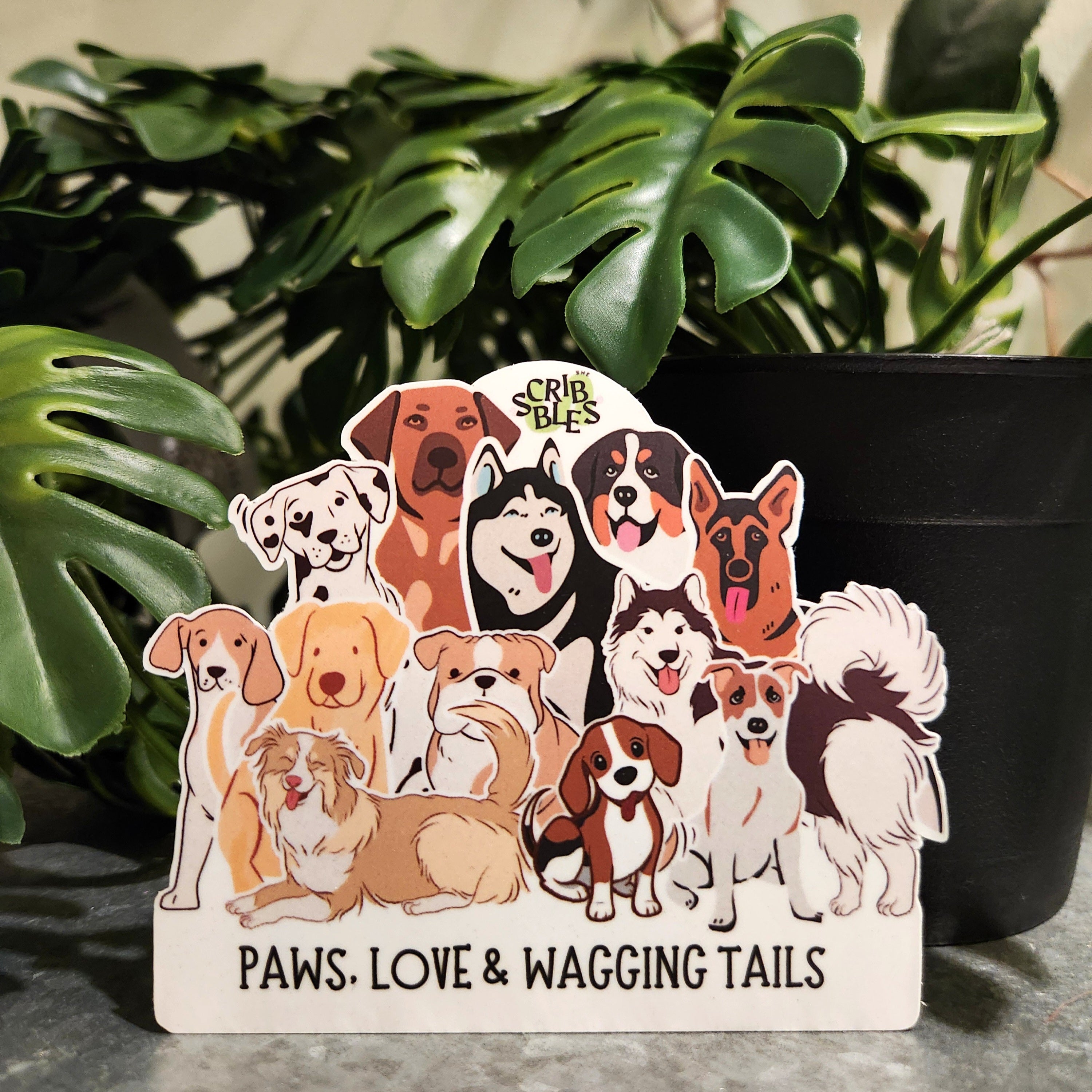 The "Paws-itivity" Pack