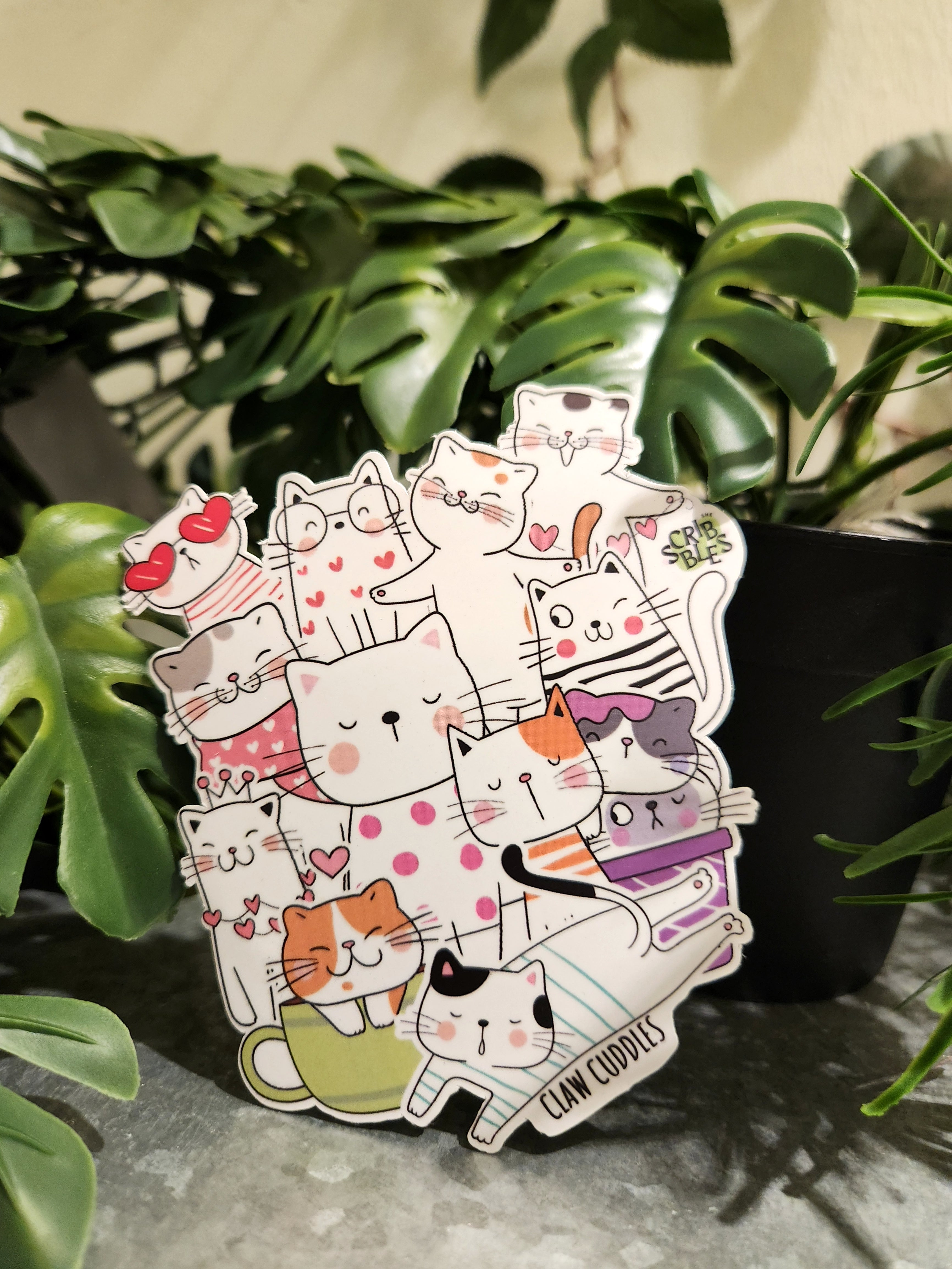 🐾 Pawsome Purr Bundle