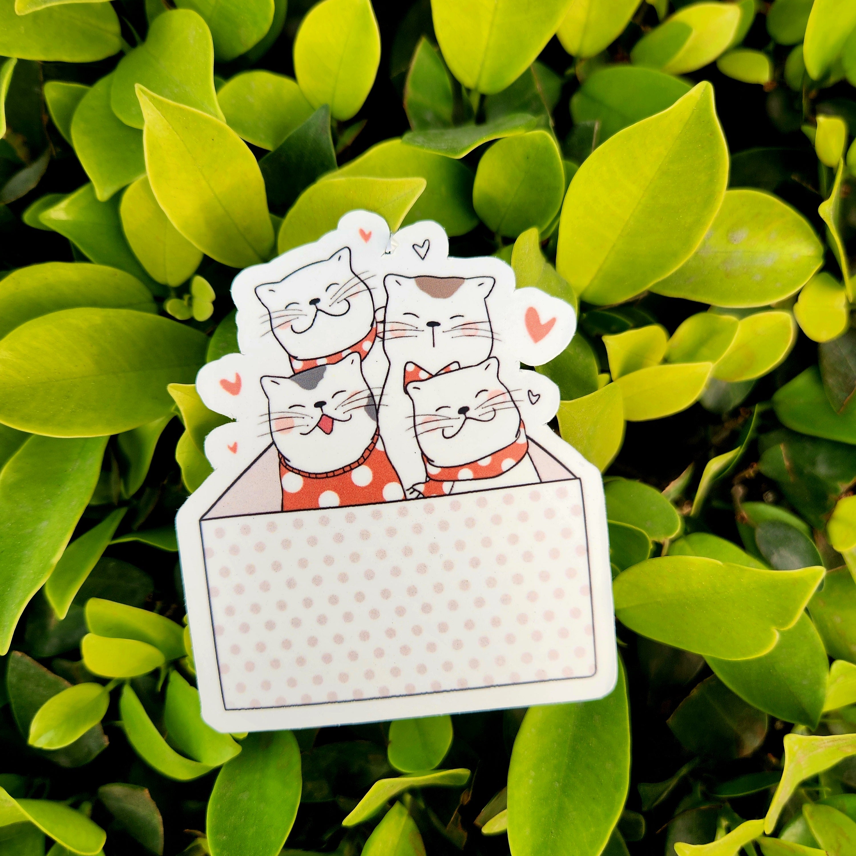 📦 "If We Fit, We Sit" Sticker