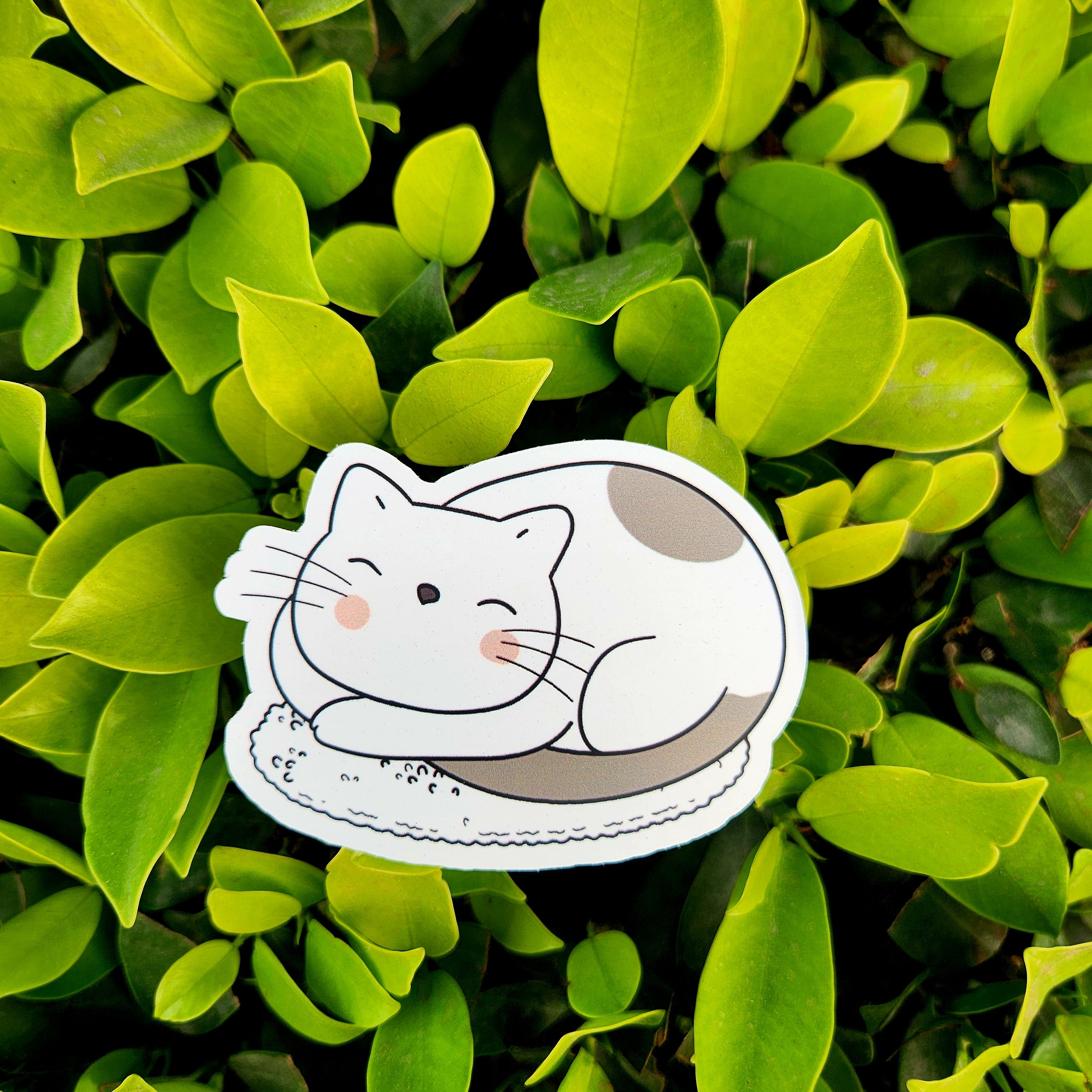 ☁️ "Do Not Disturb" Sticker