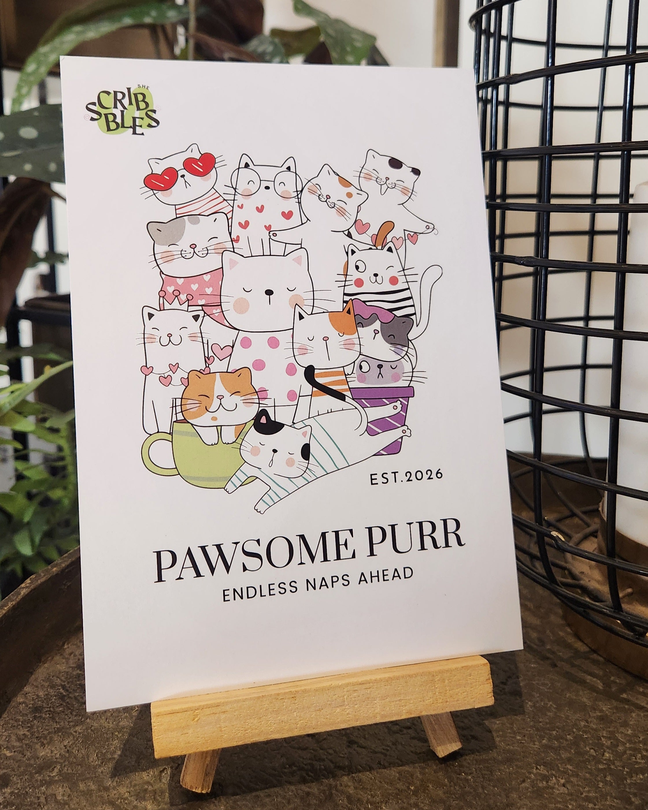 🐾 Pawsome Purr Bundle