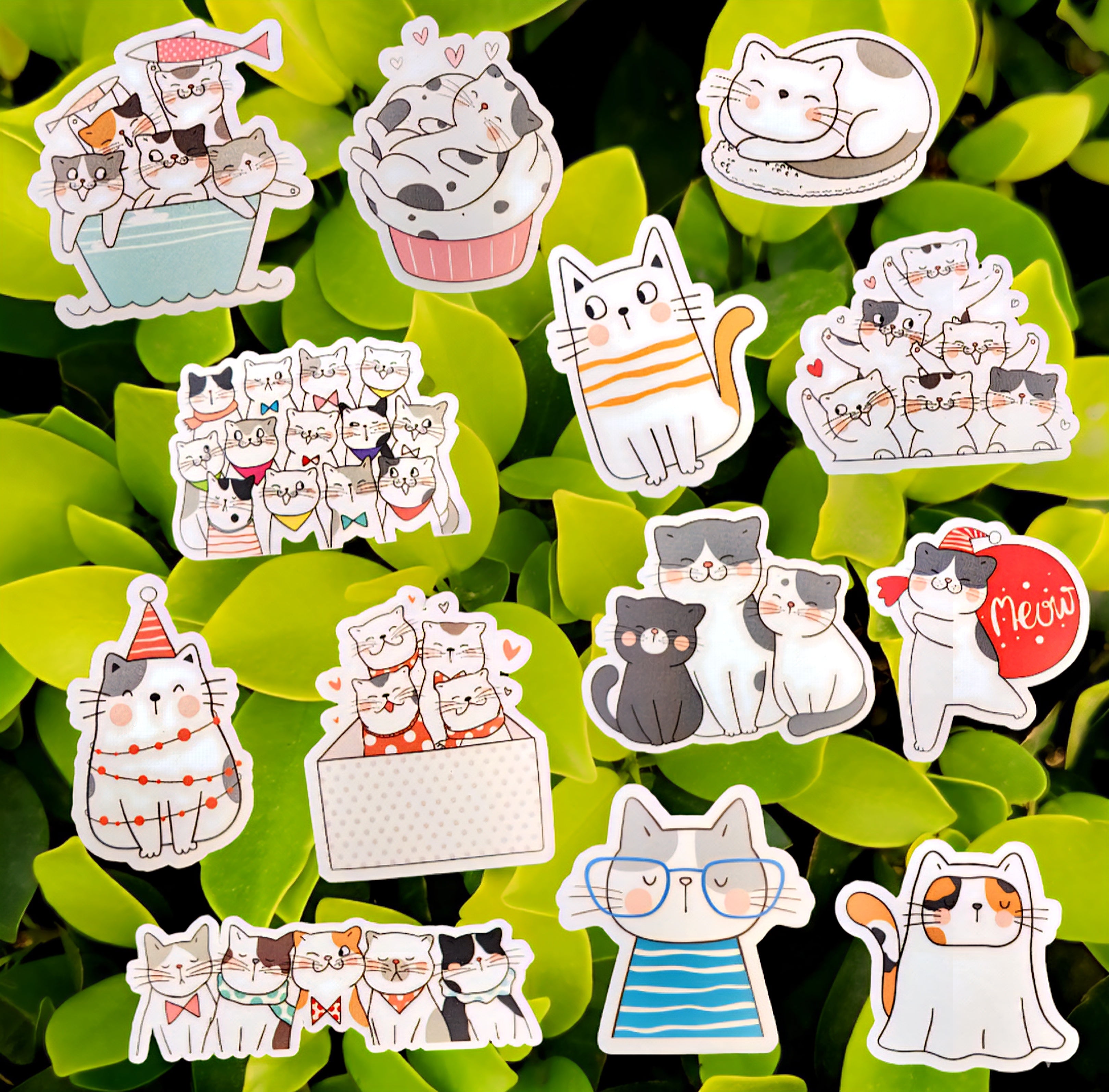 🐱 "Meet the Full Squad" Sticker